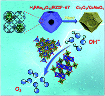 Graphical abstract: Hollow POM@MOF hybrid-derived porous Co3O4/CoMoO4 nanocages for enhanced electrocatalytic water oxidation