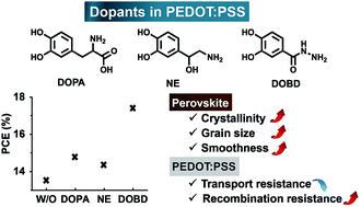 Graphical abstract: Catechol derivatives as dopants in PEDOT:PSS to improve the performance of p–i–n perovskite solar cells