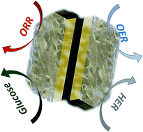Graphical abstract: A multifunctional gold doped Co(OH)2 electrocatalyst tailored for water oxidation, oxygen reduction, hydrogen evolution and glucose detection