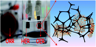 Graphical abstract: Construction of a hierarchical 3D Co/N-carbon electrocatalyst for efficient oxygen reduction and overall water splitting