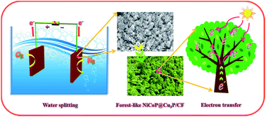 Graphical abstract: Forest-like NiCoP@Cu3P supported on copper foam as a bifunctional catalyst for efficient water splitting
