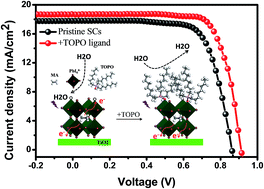 Graphical abstract: Post-healing of defects: an alternative way for passivation of carbon-based mesoscopic perovskite solar cells via hydrophobic ligand coordination