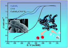 Graphical abstract: Enhanced oxygen electroreduction over nitrogen-free carbon nanotube-supported CuFeO2 nanoparticles