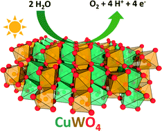Graphical abstract: CVD-grown copper tungstate thin films for solar water splitting