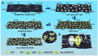 Graphical abstract: An innovative Au-CdS/ZnS-RGO architecture for efficient photocatalytic hydrogen evolution