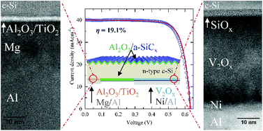 Graphical abstract: Interdigitated back-contacted crystalline silicon solar cells with low-temperature dopant-free selective contacts