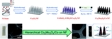 Graphical abstract: Bimetallic Co2Mo3O8 suboxides coupled with conductive cobalt nanowires for efficient and durable hydrogen evolution in alkaline electrolyte