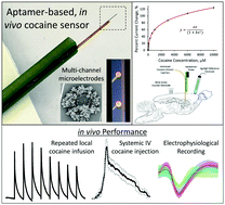 Graphical abstract: Aptamer-functionalized neural recording electrodes for the direct measurement of cocaine in vivo
