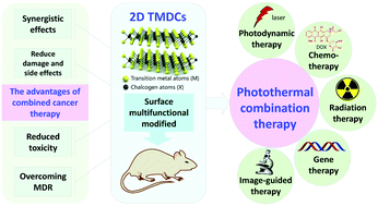 Graphical abstract: Two-dimensional transition metal dichalcogenide nanomaterials for combination cancer therapy