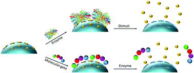 Graphical abstract: Mesoporous silica materials for controlled delivery based on enzymes