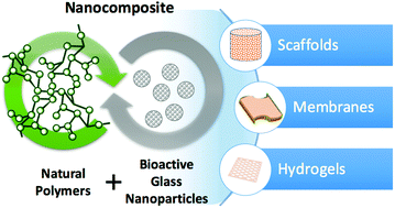 Graphical abstract: Biomedical applications of natural-based polymers combined with bioactive glass nanoparticles