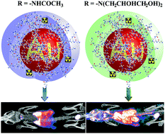 Graphical abstract: A promising dual mode SPECT/CT imaging platform based on 99mTc-labeled multifunctional dendrimer-entrapped gold nanoparticles