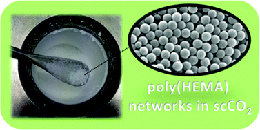 Graphical abstract: Mild synthesis of poly(HEMA)-networks as well-defined nanoparticles in supercritical carbon dioxide