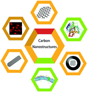 Graphical abstract: Carbon nanostructures in biology and medicine