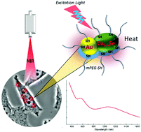 Graphical abstract: Au–Cu2−xSe heterogeneous nanocrystals for efficient photothermal heating for cancer therapy