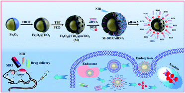 Graphical abstract: Mesoporous titanium dioxide nanocarrier with magnetic-targeting and high loading efficiency for dual-modal imaging and photodynamic therapy