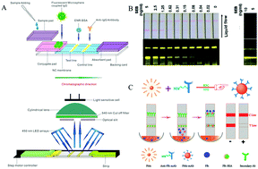 Graphical abstract: A review of fluorescent signal-based lateral flow immunochromatographic strips