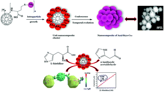 Graphical abstract: Structure and dynamics of a dl-homocysteine functionalized fullerene-C60–gold nanocomposite: a femtomolar l-histidine sensor