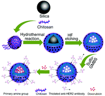 Graphical abstract: Hollow carbon nanospheres for targeted delivery of chemotherapeutics in breast cancer therapy
