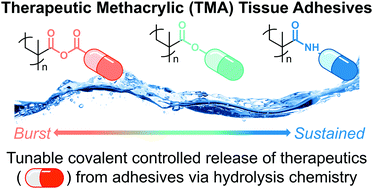 Graphical abstract: Covalently-controlled drug delivery via therapeutic methacrylic tissue adhesives