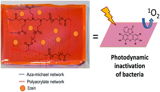 Graphical abstract: Eosin-mediated synthesis of polymer coatings combining photodynamic inactivation and antimicrobial properties