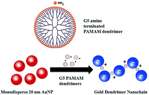 Graphical abstract: Tuneable plasmonic gold dendrimer nanochains for sensitive disease detection