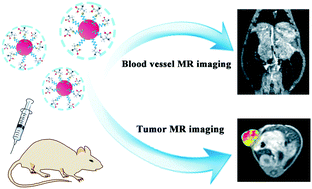 Graphical abstract: Zwitterion-coated ultrasmall iron oxide nanoparticles for enhanced T1-weighted magnetic resonance imaging applications