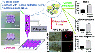 Graphical abstract: A graphene–polyurethane composite hydrogel as a potential bioink for 3D bioprinting and differentiation of neural stem cells