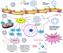Graphical abstract: Antioxidant nanomaterials in advanced diagnoses and treatments of ischemia reperfusion injuries