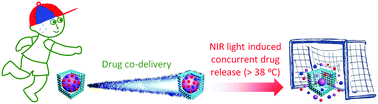 Graphical abstract: Multifunctional phase-change hollow mesoporous Prussian blue nanoparticles as a NIR light responsive drug co-delivery system to overcome cancer therapeutic resistance