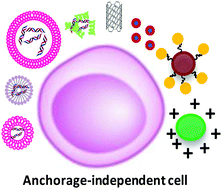 Graphical abstract: Biomaterials for polynucleotide delivery to anchorage-independent cells
