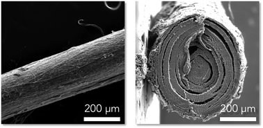 Graphical abstract: Mimicking muscle fiber structure and function through electromechanical actuation of electrospun silk fiber bundles