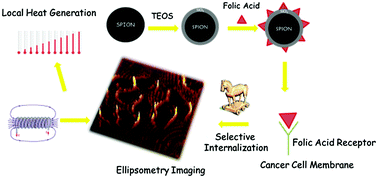 Graphical abstract: A simple approach to synthetize folic acid decorated magnetite@SiO2 nanostructures for hyperthermia applications