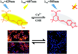 Graphical abstract: A new colorimetric and fluorescent probe with a large stokes shift for rapid and specific detection of biothiols and its application in living cells
