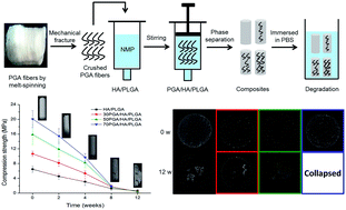 Graphical abstract: In vitro degradation behavior of a hydroxyapatite/poly(lactide-co-glycolide) composite reinforced by micro/nano-hybrid poly(glycolide) fibers for bone repair