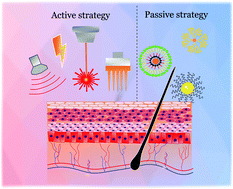 Graphical abstract: Nanomaterials for transdermal drug delivery: beyond the state of the art of liposomal structures