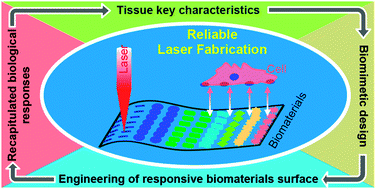 Graphical abstract: Reliable laser fabrication: the quest for responsive biomaterials surface