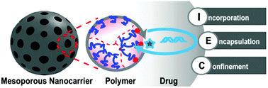 Graphical abstract: Integration of polymers in the pore space of mesoporous nanocarriers for drug delivery