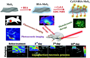 Graphical abstract: MoS2-Based multipurpose theranostic nanoplatform: realizing dual-imaging-guided combination phototherapy to eliminate solid tumor via a liquefaction necrosis process