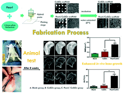 Graphical abstract: 3D printing of pearl/CaSO4 composite scaffolds for bone regeneration
