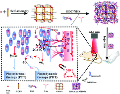 Graphical abstract: Albumin/sulfonamide stabilized iron porphyrin metal organic framework nanocomposites: targeting tumor hypoxia by carbonic anhydrase IX inhibition and T1–T2 dual mode MRI guided photodynamic/photothermal therapy