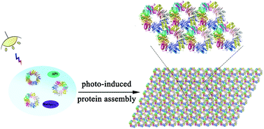 Graphical abstract: Photocontrolled protein assembly for constructing programmed two-dimensional nanomaterials