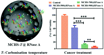 Graphical abstract: Mesoporous carbon hollow spheres: carbonisation-temperature-dependent delivery of therapeutic proteins