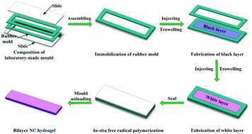 Graphical abstract: Design and fabrication of nanofibrillated cellulose-containing bilayer hydrogel actuators with temperature and near infrared laser responses