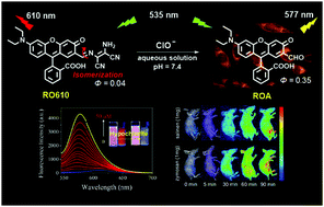 Graphical abstract: A highly sensitive and rapidly responding fluorescent probe based on a rhodol fluorophore for imaging endogenous hypochlorite in living mice