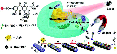 Graphical abstract: Silicon nanowire-based multifunctional platform for chemo-photothermal synergistic cancer therapy