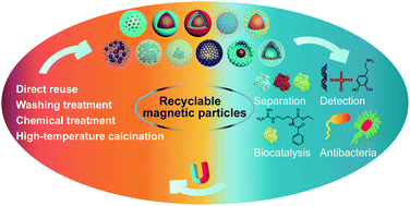 Graphical abstract: Progress of recyclable magnetic particles for biomedical applications