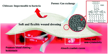 Graphical abstract: Facile preparation of polysaccharide-based sponges and their potential application in wound dressing