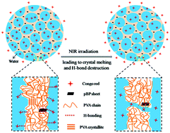 Graphical abstract: Near infrared photothermal-responsive poly(vinyl alcohol)/black phosphorus composite hydrogels with excellent on-demand drug release capacity