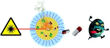 Graphical abstract: Biocompatible nanoparticles containing hydrophobic nickel-bis(dithiolene) complexes for NIR-mediated doxorubicin release and photothermal therapy